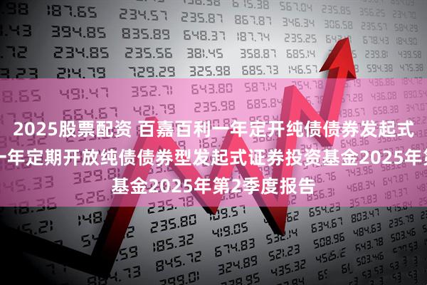 2025股票配资 百嘉百利一年定开纯债债券发起式: 百嘉百利一年定期开放纯债债券型发起式证券投资基金2025年第2季度报告